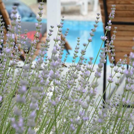 Villa Iva Kraj  Ngoại thất bức ảnh