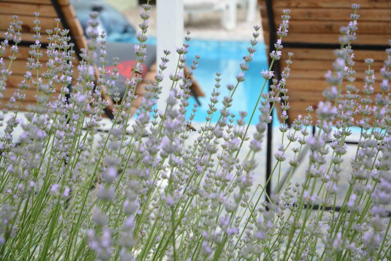 Villa Iva Kraj  Ngoại thất bức ảnh